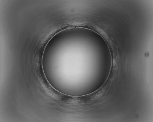 X0000112050201200908041159