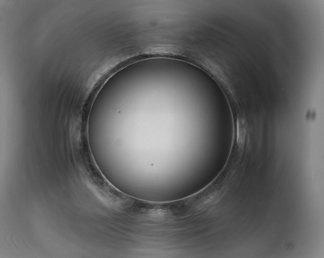 X0000112050204200908041159