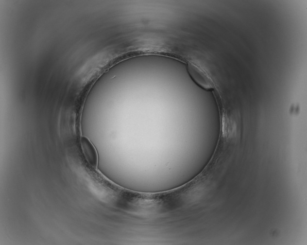 X0000112050205200908041159