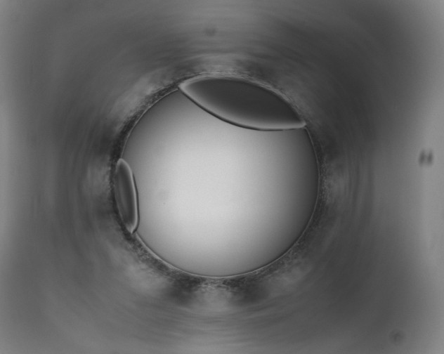 X0000112050207200908041159