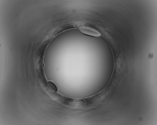 X0000112050209200908041159