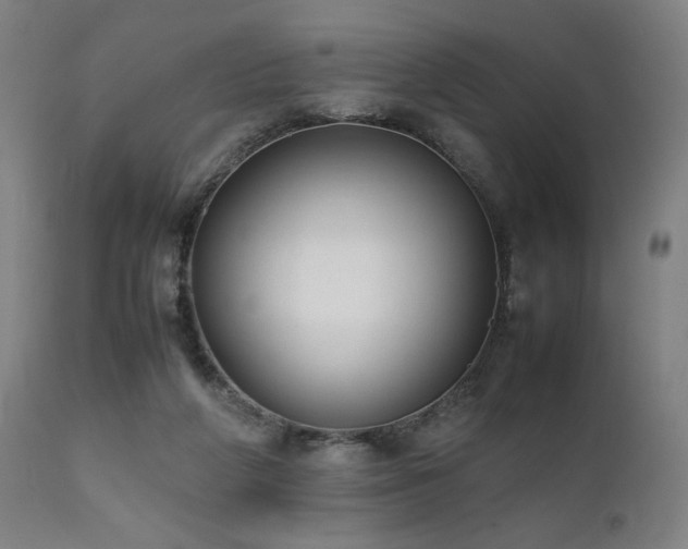 X0000112050210200908041159