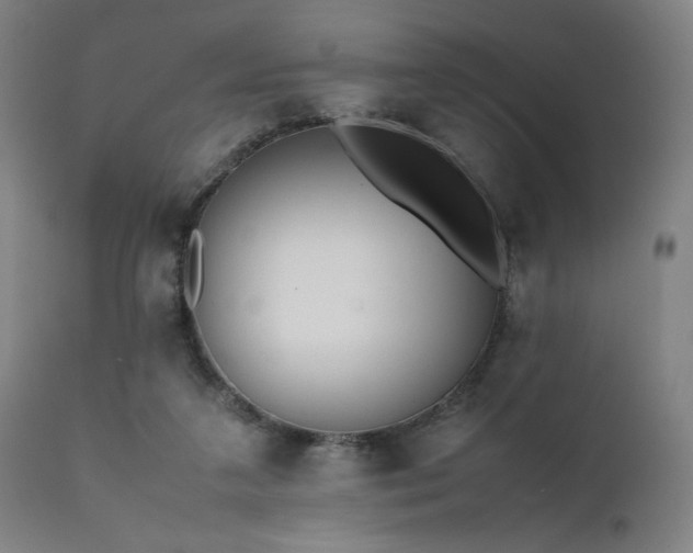 X0000112050211200908041159