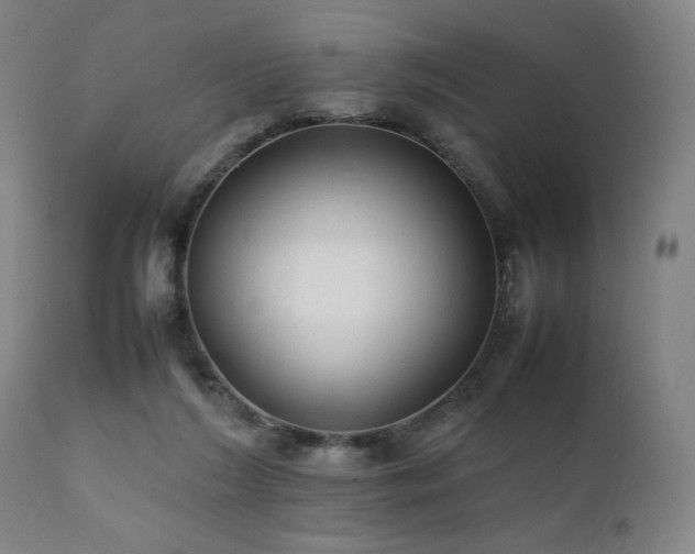 X0000112050212200908041159