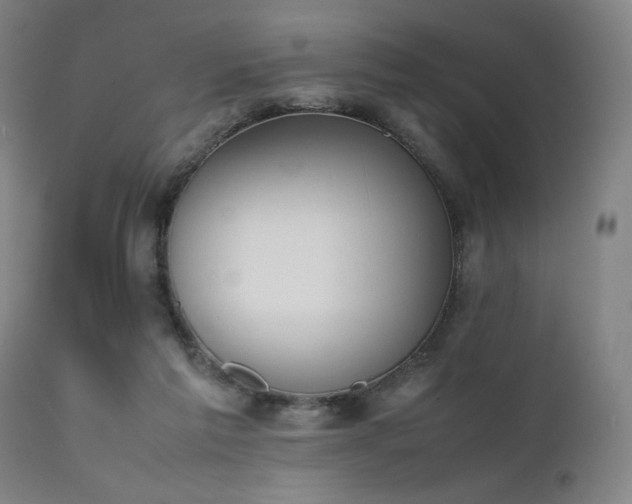 X0000112050213200908041158