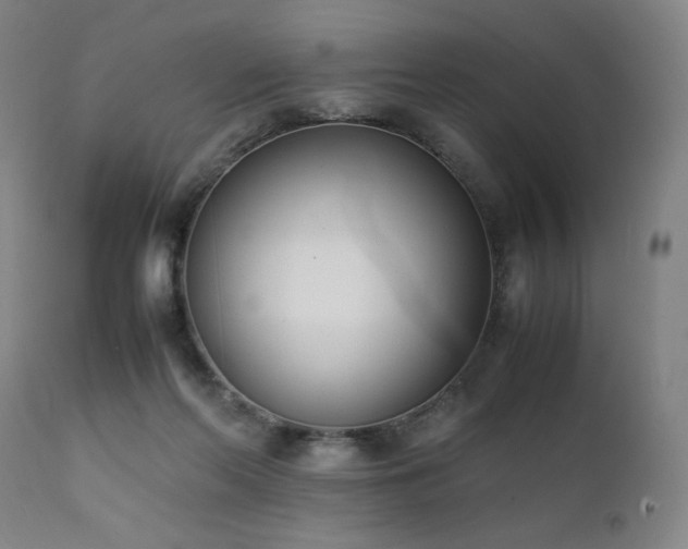 X0000112050214200908041158