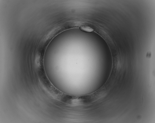 X0000112050216200908041158