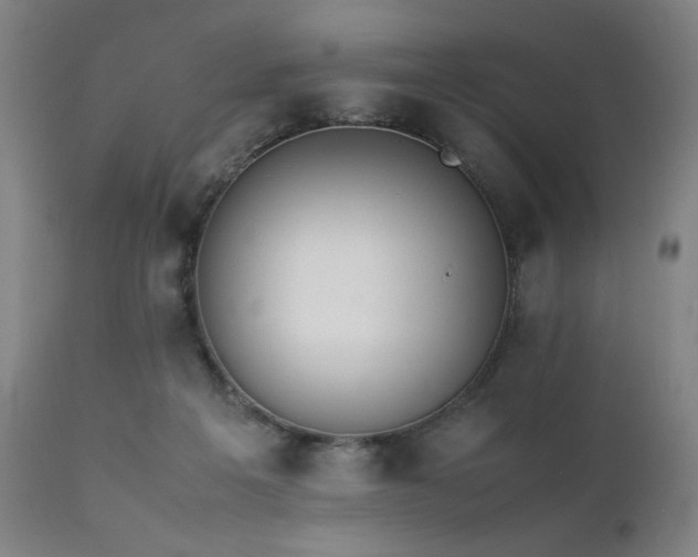 X0000112050217200908041158