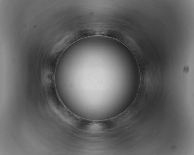 X0000112050218200908041158