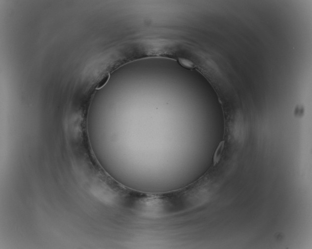 X0000112050219200908041158