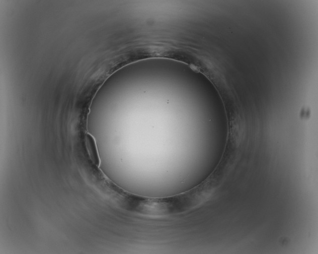 X0000112050221200908041158