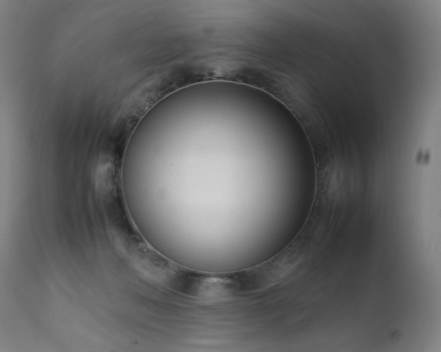 X0000112050222200908041158