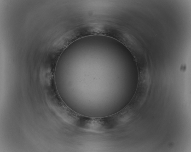 X0000112050223200908041158