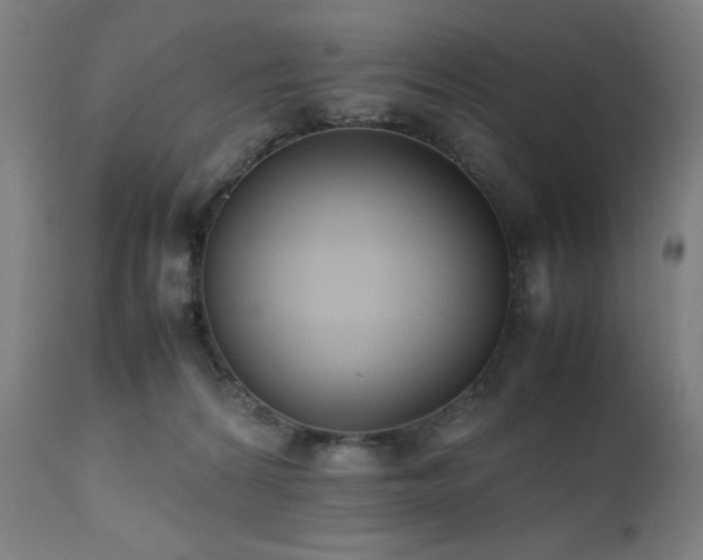 X0000112050224200908041158