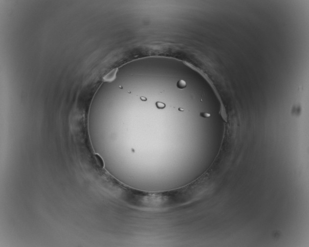 X0000112050225200908041158