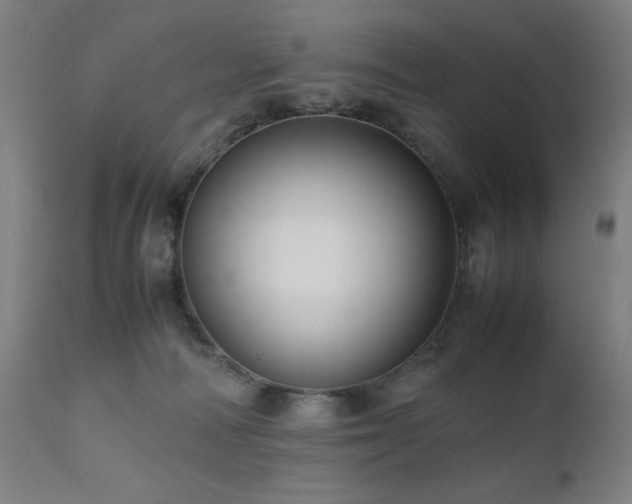 X0000112050226200908041158