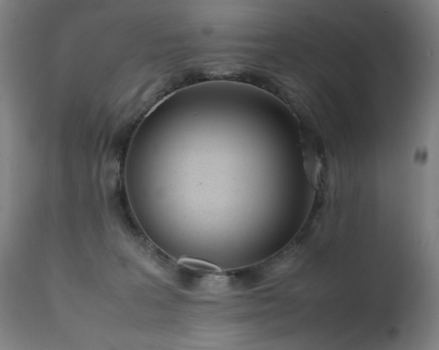 X0000112050227200908041158