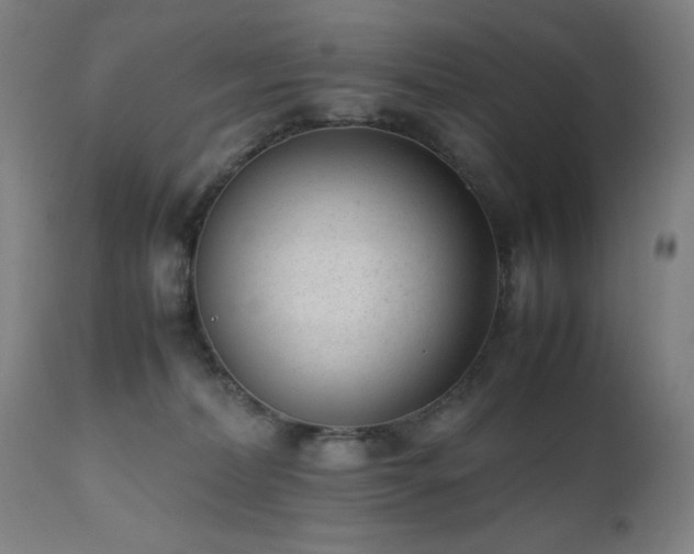 X0000112050228200908041158