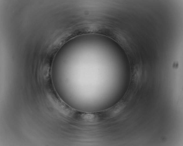 X0000112050230200908041158