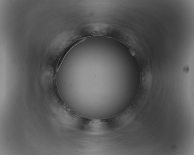 X0000112050231200908041158