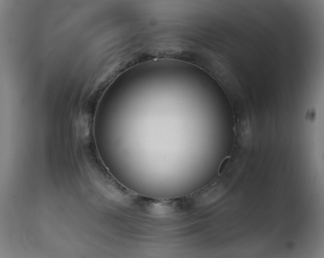 X0000112050232200908041158