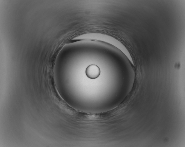 X0000112050233200908041158