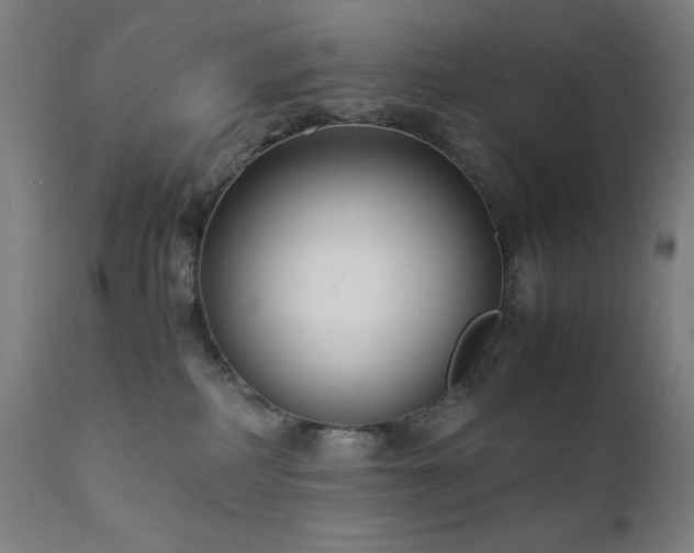 X0000112050234200908041158