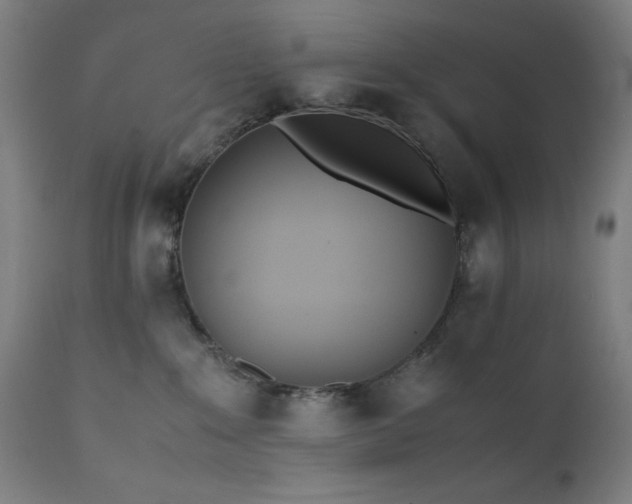 X0000112050235200908041158