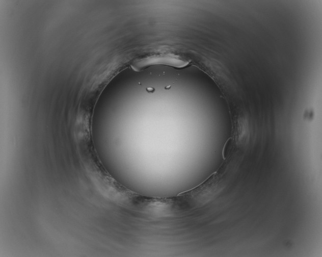 X0000112050236200908041158