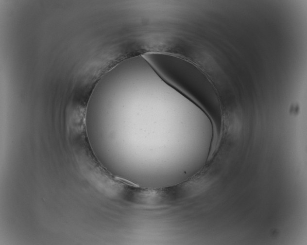 X0000112050237200908041158