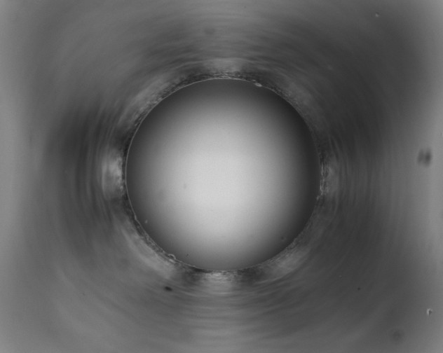 X0000112050238200908041158