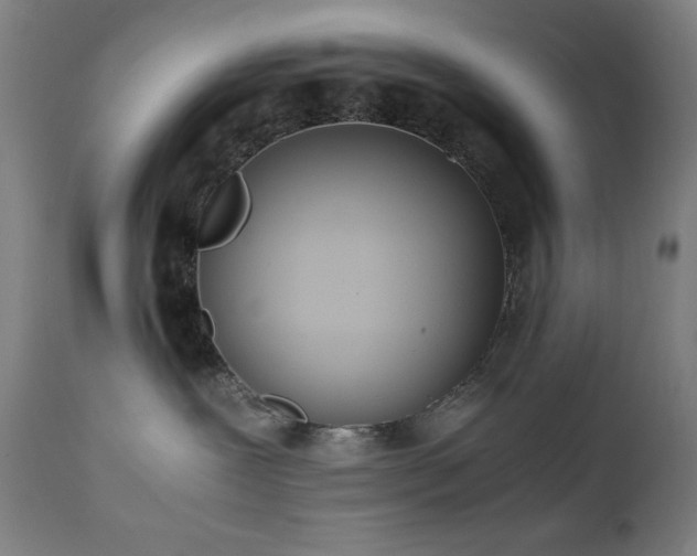 X0000112050239200908041158