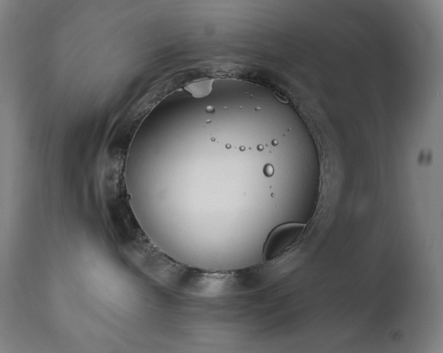 X0000112050240200908041158