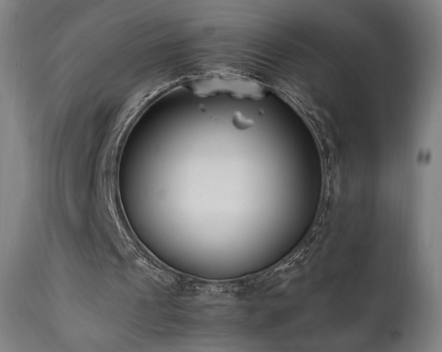 X0000112050241200908041157