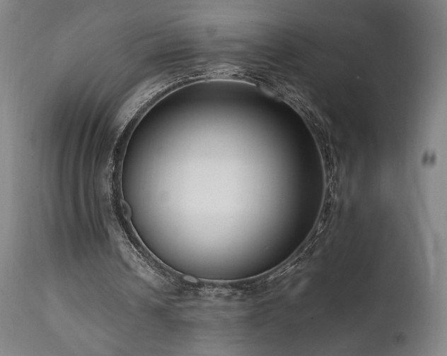 X0000112050242200908041157