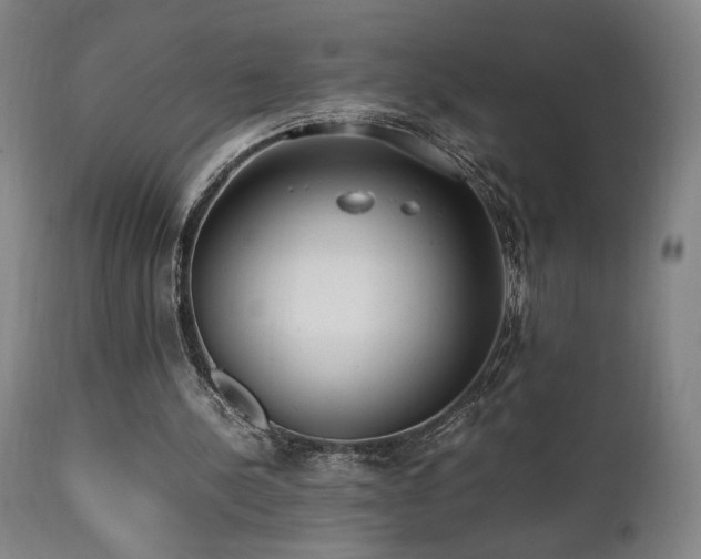 X0000112050244200908041158