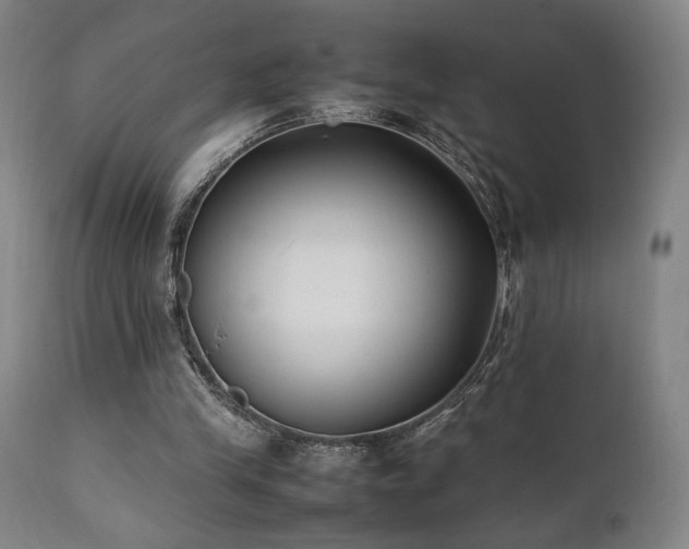 X0000112050245200908041158