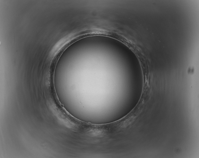 X0000112050247200908041158