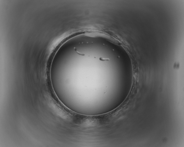 X0000112050248200908041158