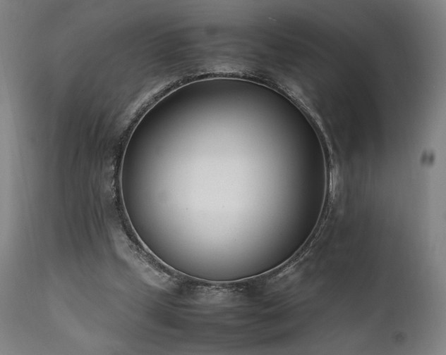 X0000112050249200908041158