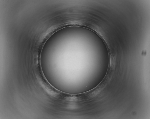 X0000112050253200908041158