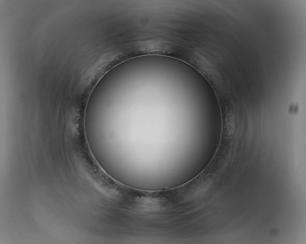 X0000112050255200908041158