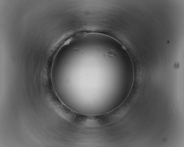 X0000112050256200908041158