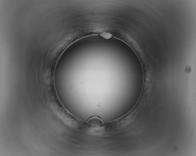 X0000112050257200908041158