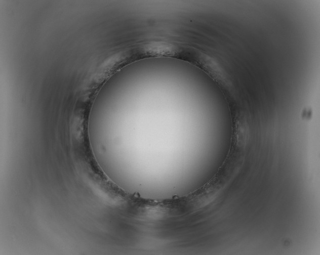 X0000112050259200908041158