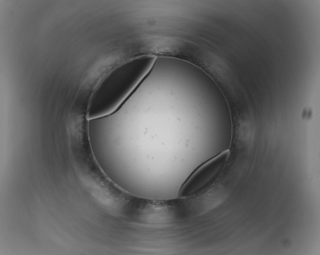 X0000112050260200908041158