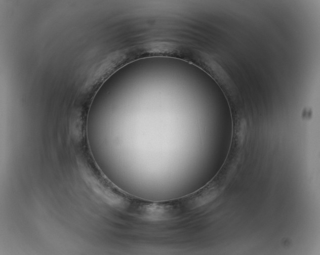 X0000112050261200908041158