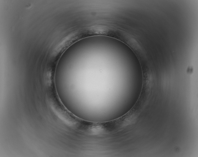 X0000112050262200908041158