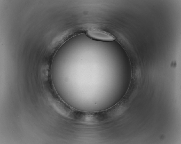 X0000112050264200908041158