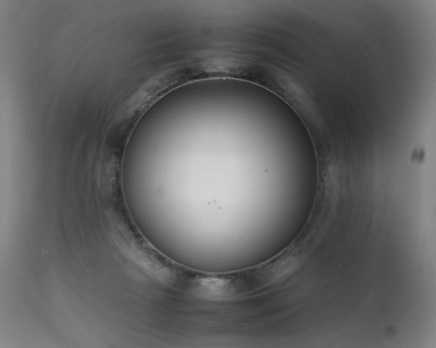 X0000112050265200908041158